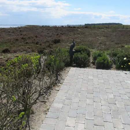 Soenshoern - S16 - In By Interhome Appartement