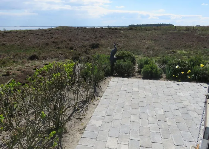 Soenshoern - S16 - In By Interhome Appartement